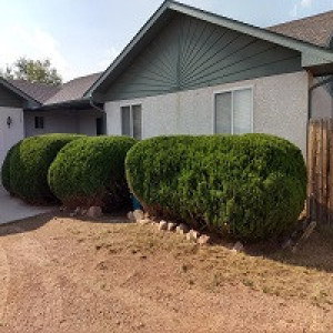 Complete Yard Service