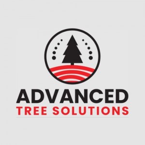 Advanced Tree Solutions