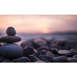 Life Matters Counseling & Therapy