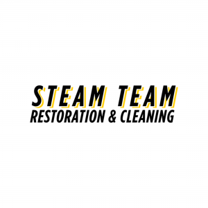 Steam Team