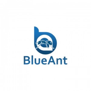 Blue Ant Cleaning Services