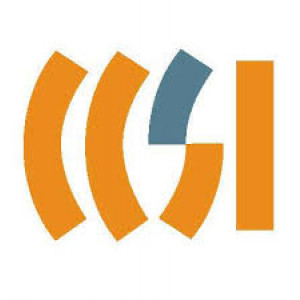 Capitol Construction Solutions, Inc.