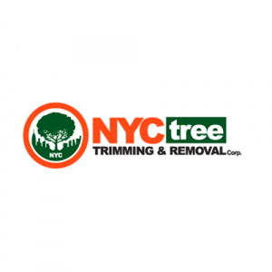 NYC Tree Trimming & Removal Corp