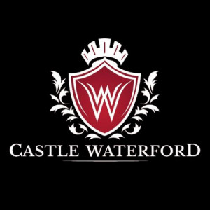 Castle WaterFord