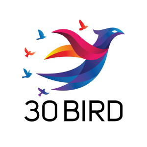 30 Bird Media