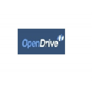 Open Drive