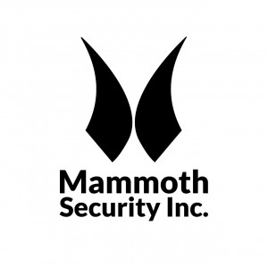 Mammoth Security Inc. New Britain