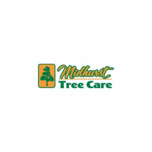 Midhurst Tree Care