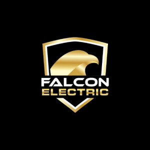 Falcon Electric