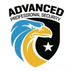 Advanced Professional Security Systems