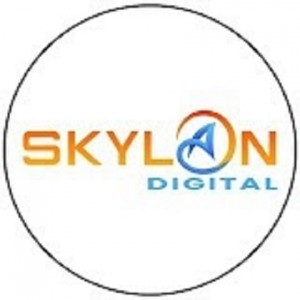 Skylandigital
