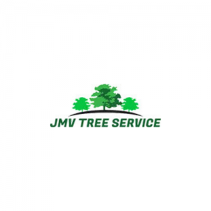JMV Tree Services Corp